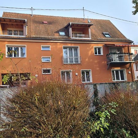 Apartamento Meublés du 25 N2 F2 RDC Niederbronn-les-Bains Exterior foto